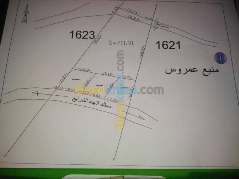 Vente Terrain Skikda Collo