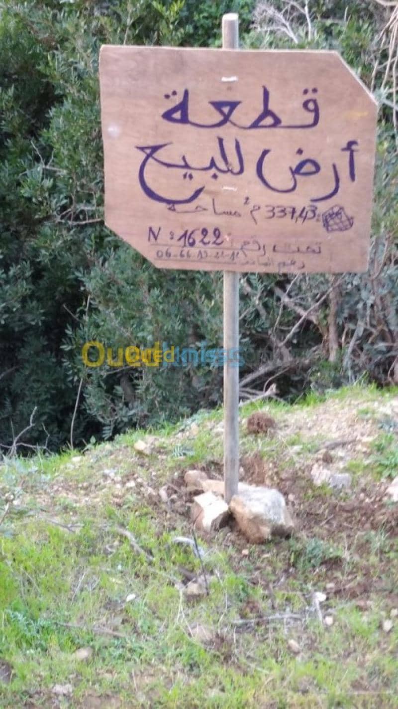 Vente Terrain Skikda Collo 3
