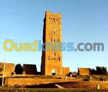   إعلام ألي, محاسب , إداري .التسويق 