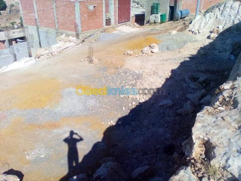 Vente Terrain Relizane Merdja sidi abed 2