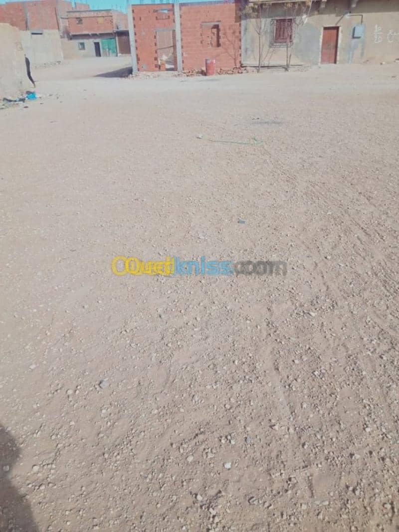 Vente Terrain Djelfa Ain oussara