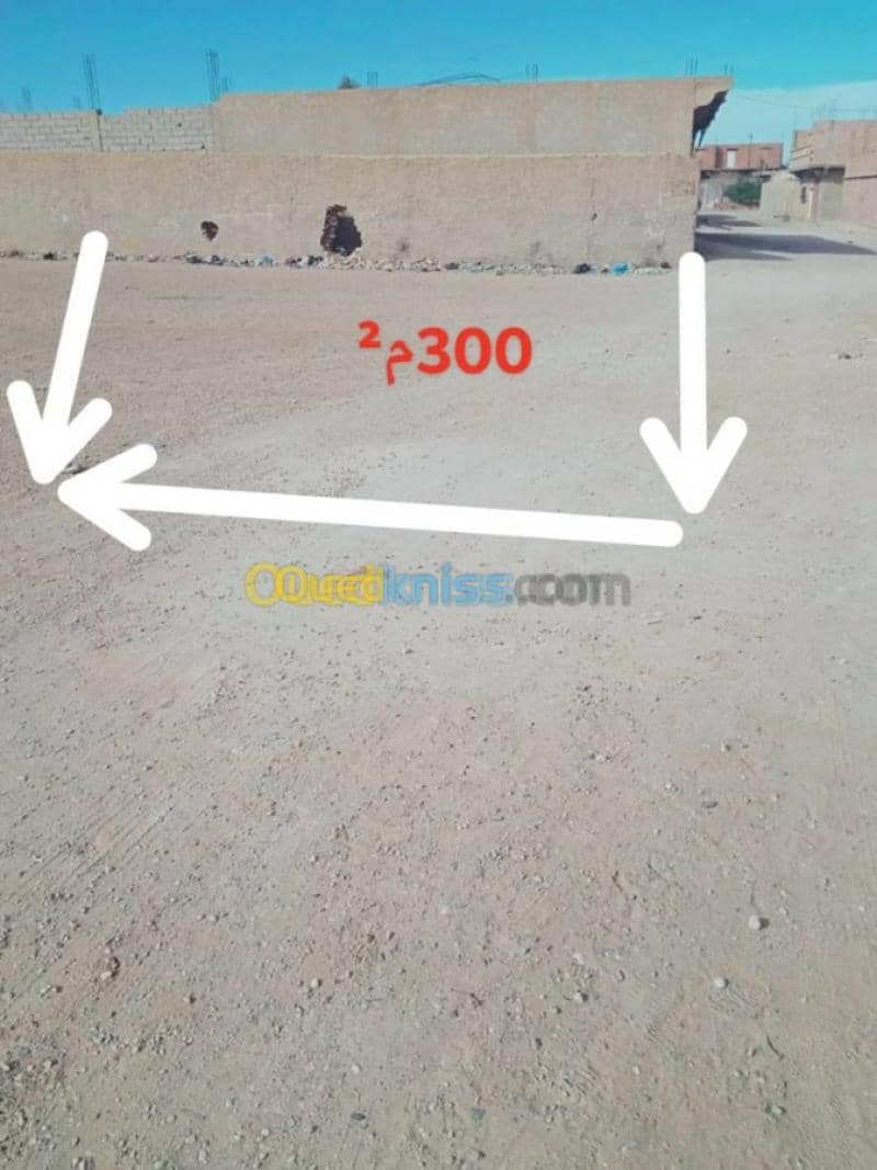 Vente Terrain Djelfa Ain oussara 11