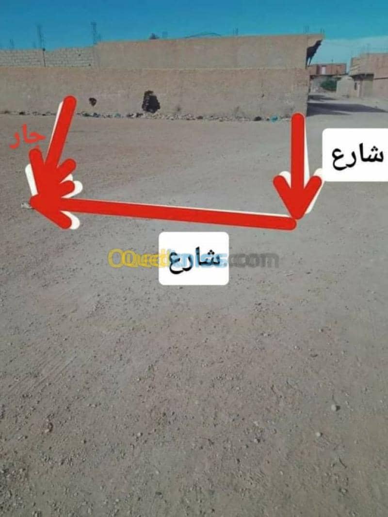 Vente Terrain Djelfa Ain oussara 15