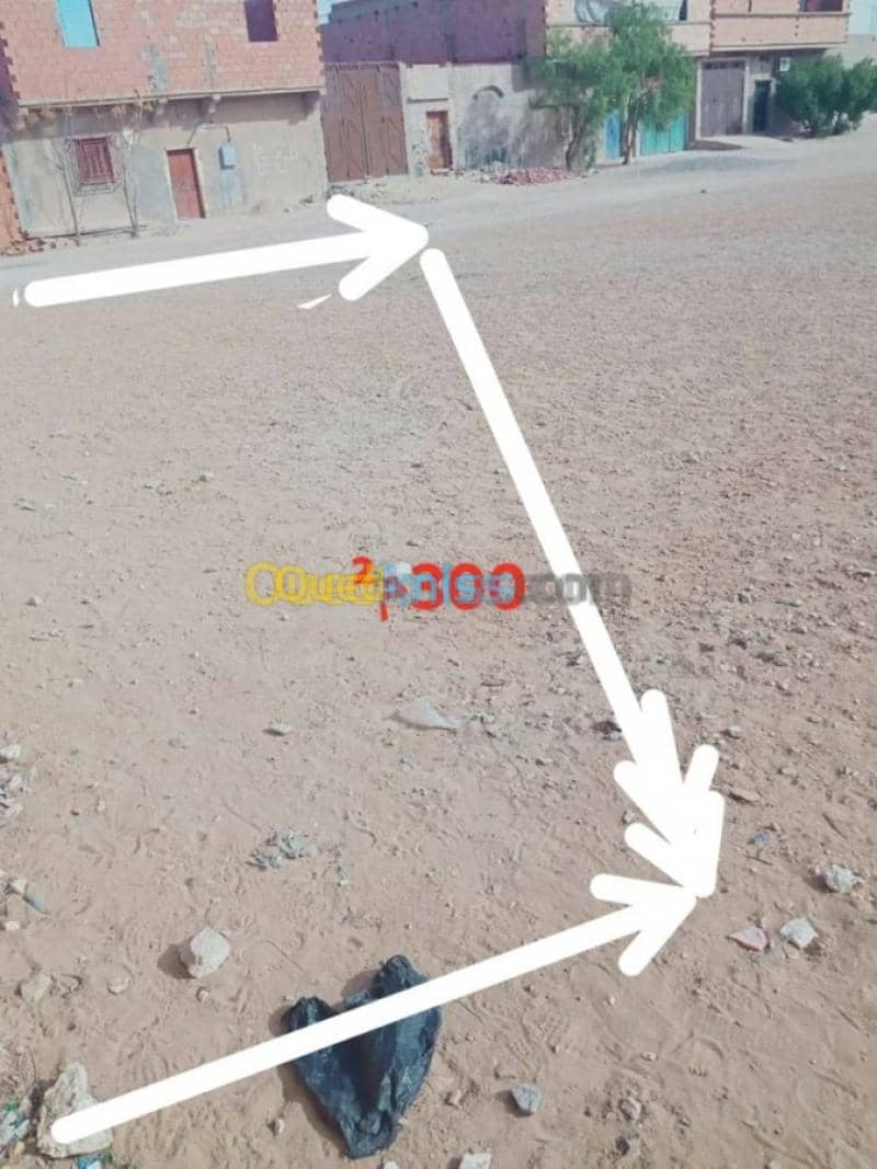 Vente Terrain Djelfa Ain oussara 18