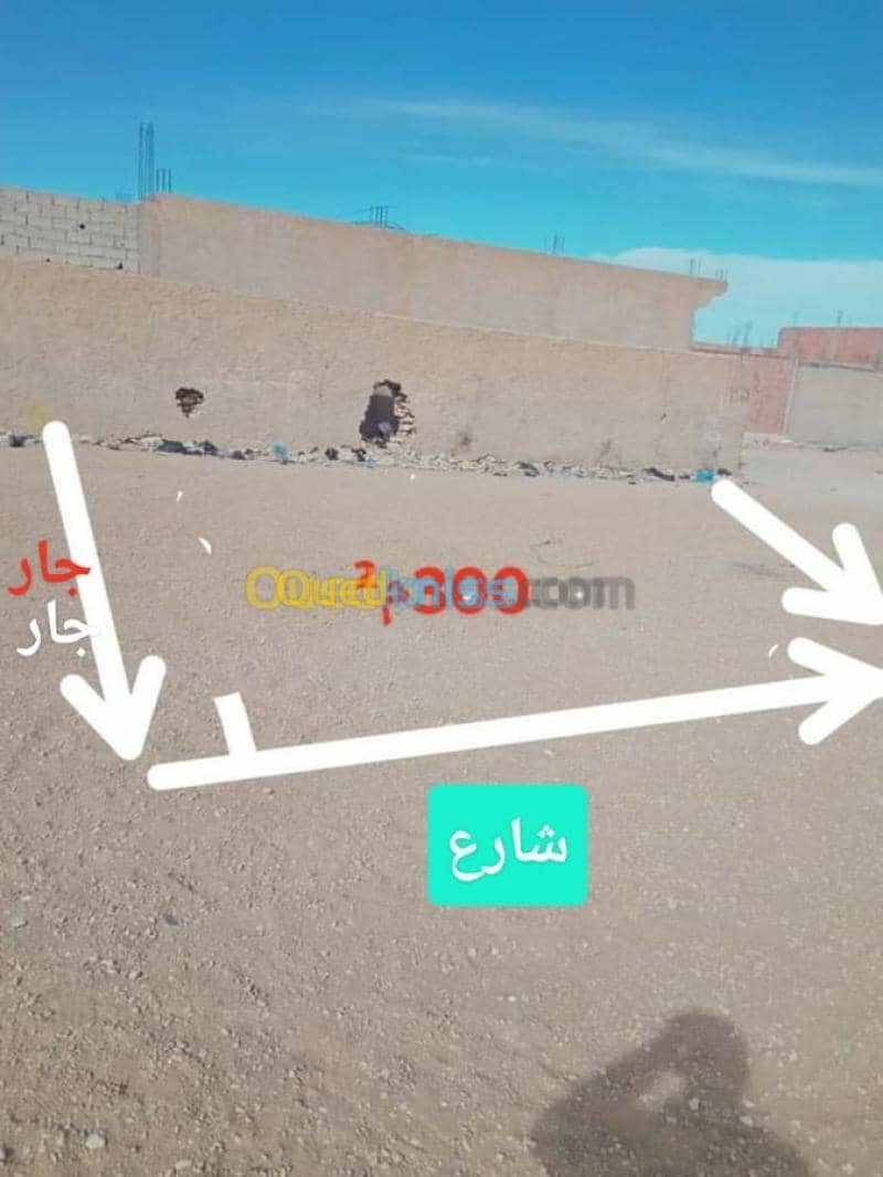 Vente Terrain Djelfa Ain oussara 3