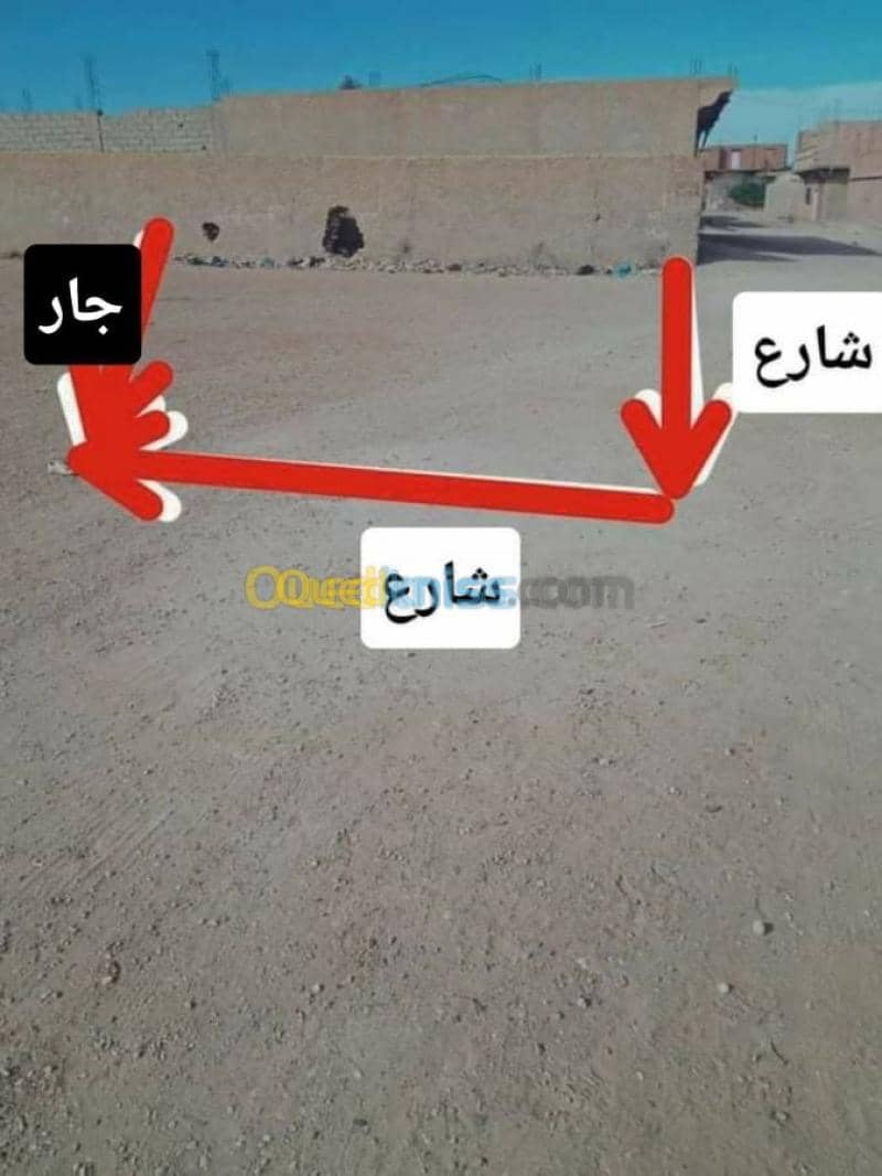 Vente Terrain Djelfa Ain oussara 4
