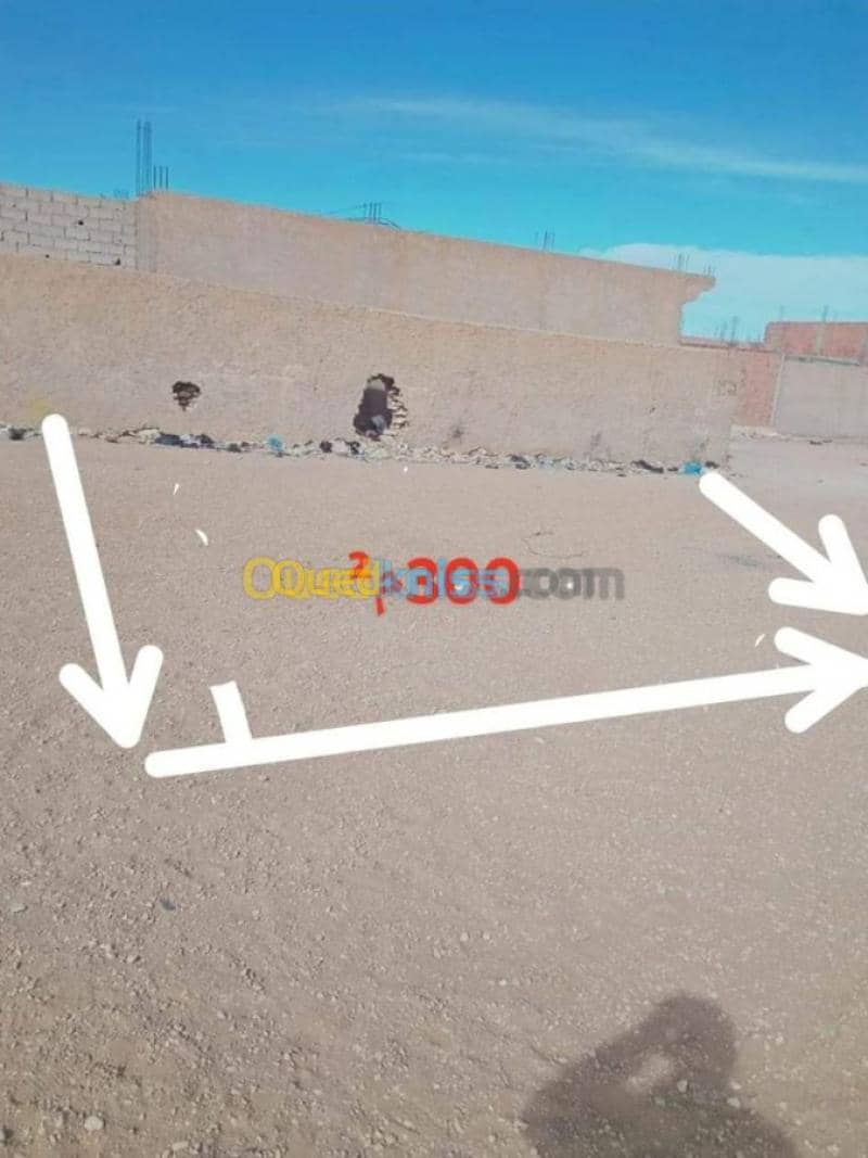 Vente Terrain Djelfa Ain oussara 5