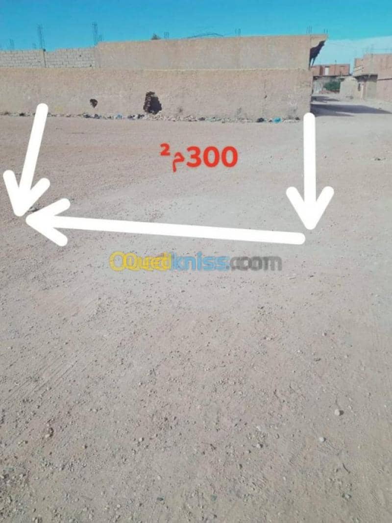 Vente Terrain Djelfa Ain oussara 6