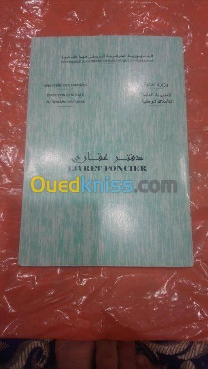 Vente Terrain Djelfa Ain oussara 7