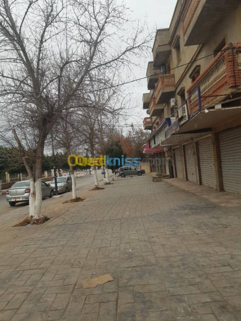 Location Local Ain defla Ain defla 2