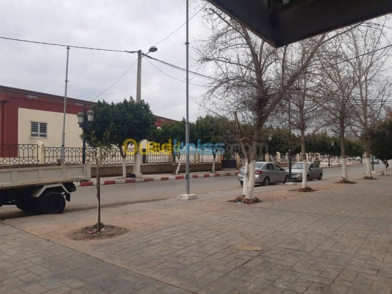 Location Local Ain defla Ain defla 3
