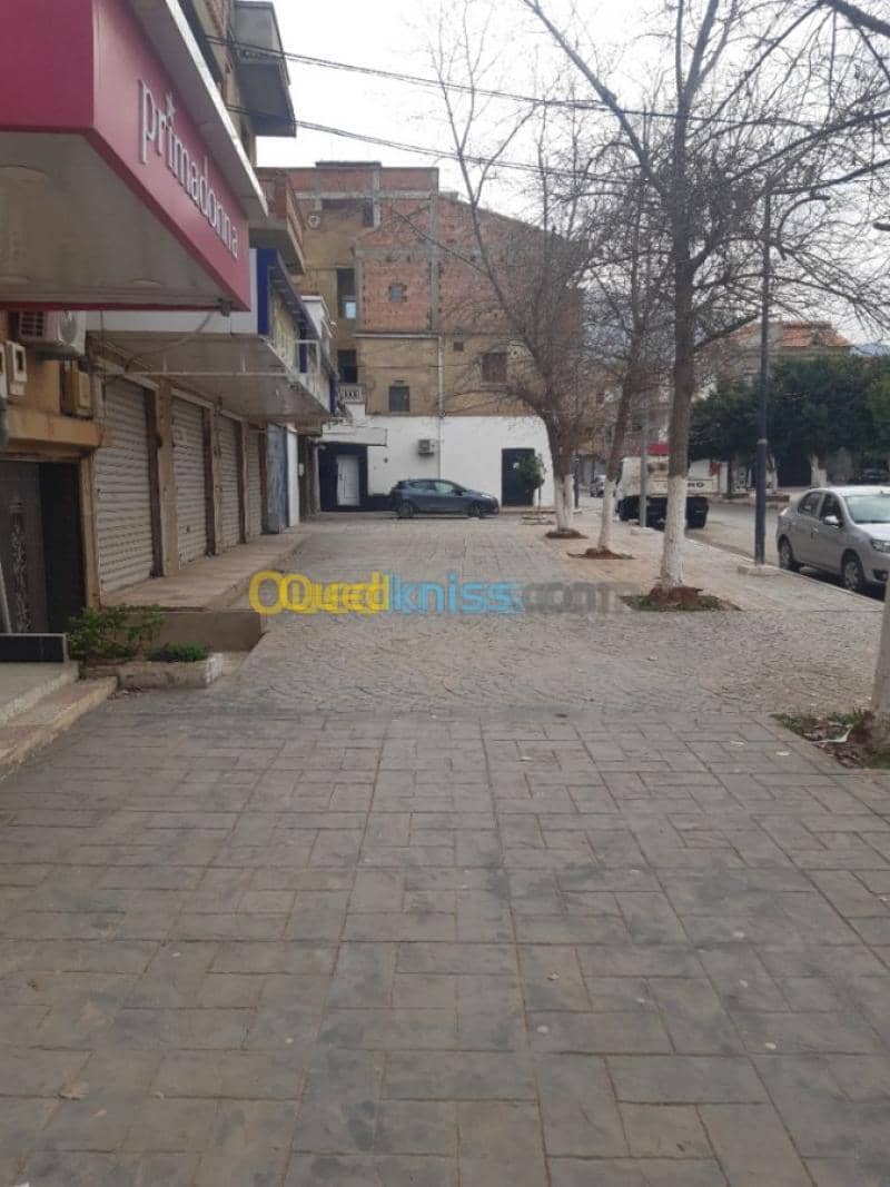 Location Local Ain defla Ain defla 5
