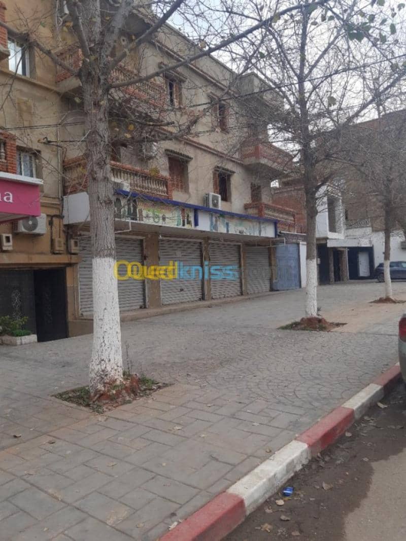 Location Local Ain defla Ain defla 6