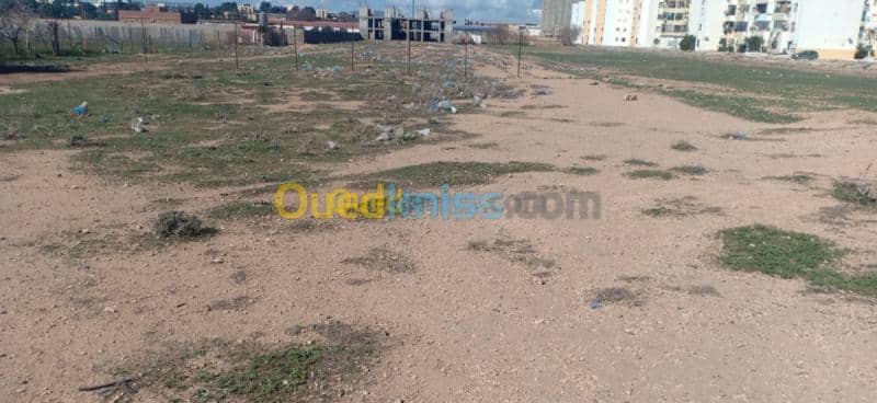 Vente Terrain Sidi bel abbes Sidi bel abbes