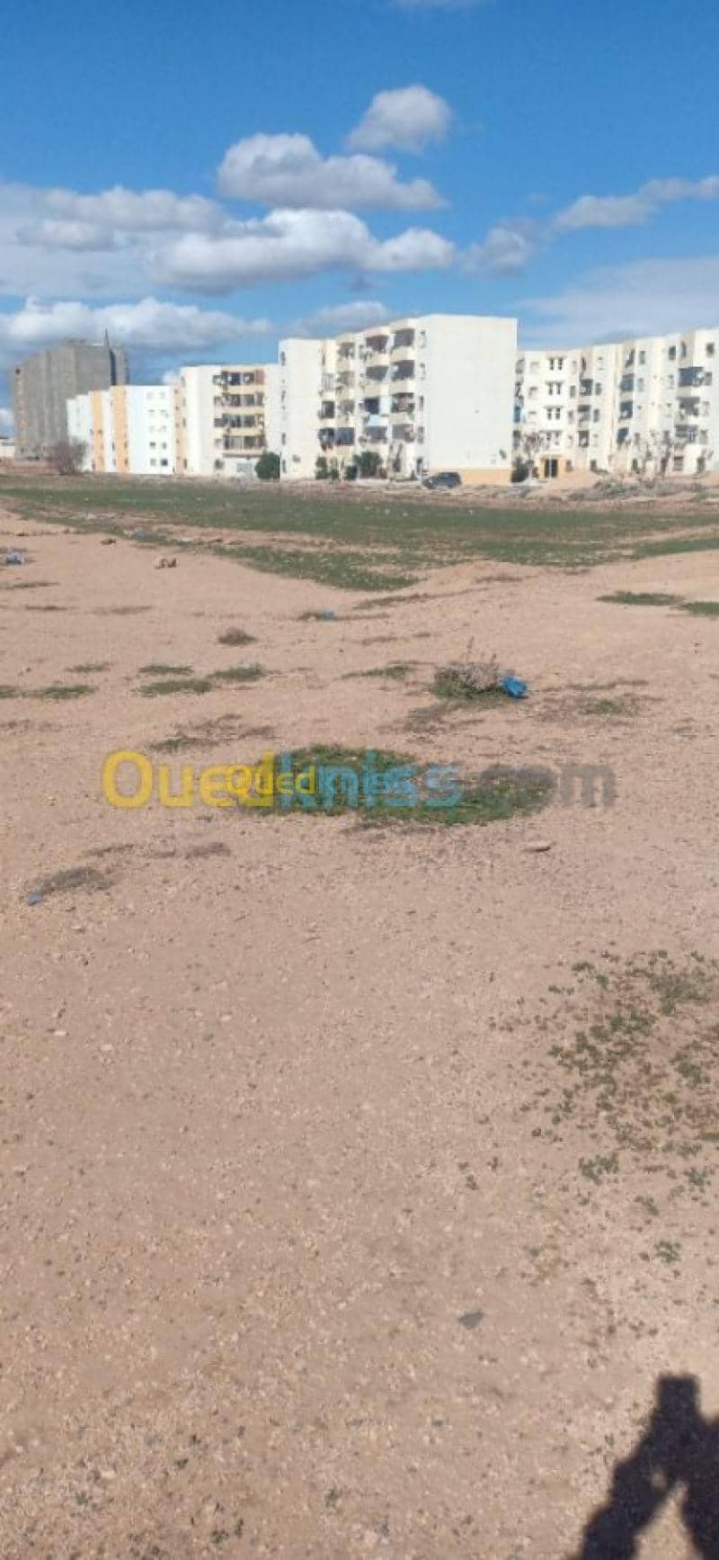 Vente Terrain Sidi bel abbes Sidi bel abbes 2