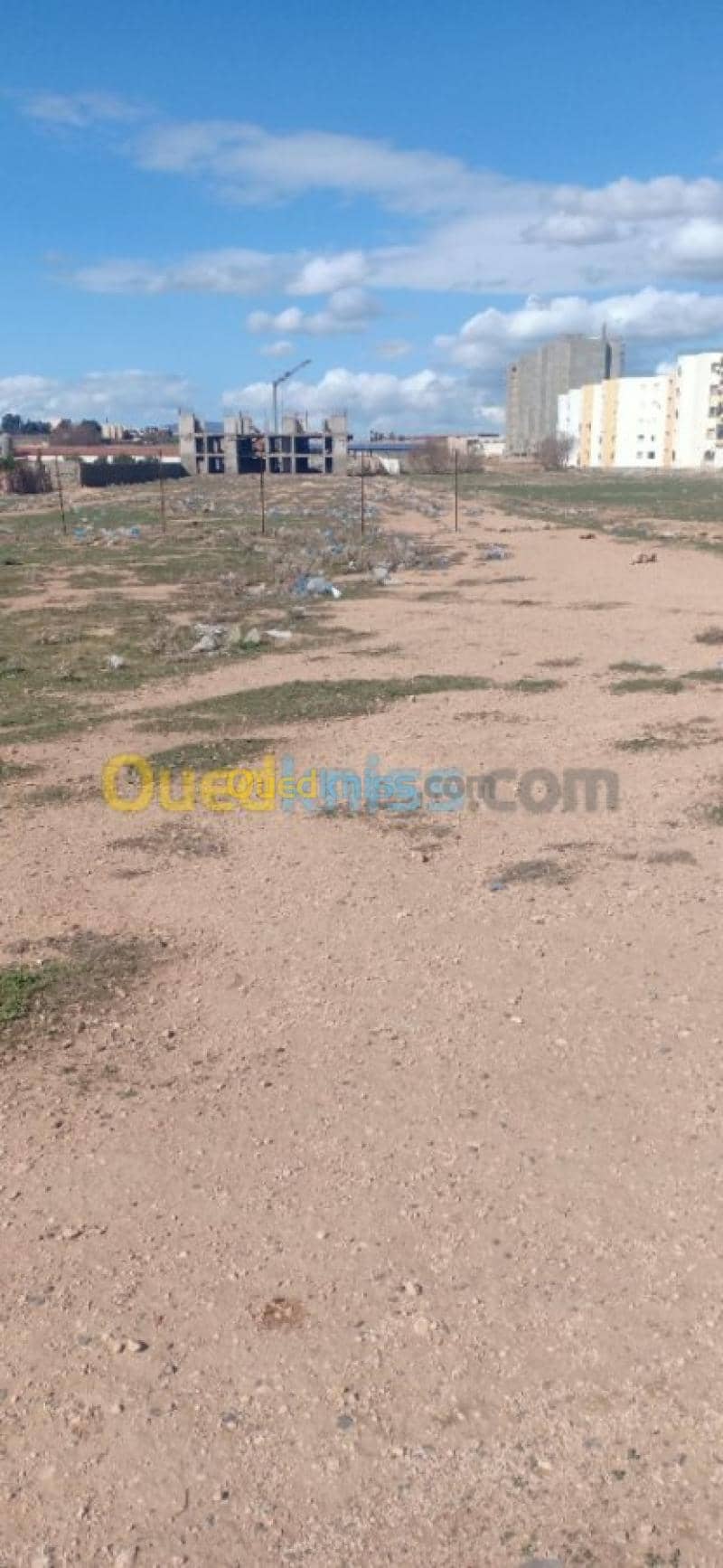 Vente Terrain Sidi bel abbes Sidi bel abbes 3
