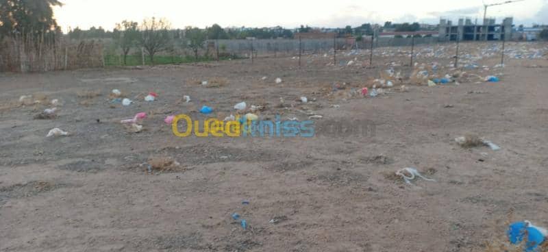 Vente Terrain Sidi bel abbes Sidi bel abbes 5