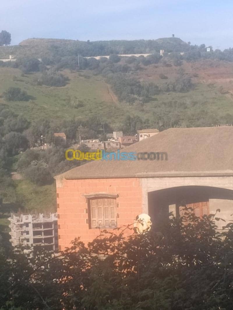 Vente Appartement F3 Skikda Skikda 13