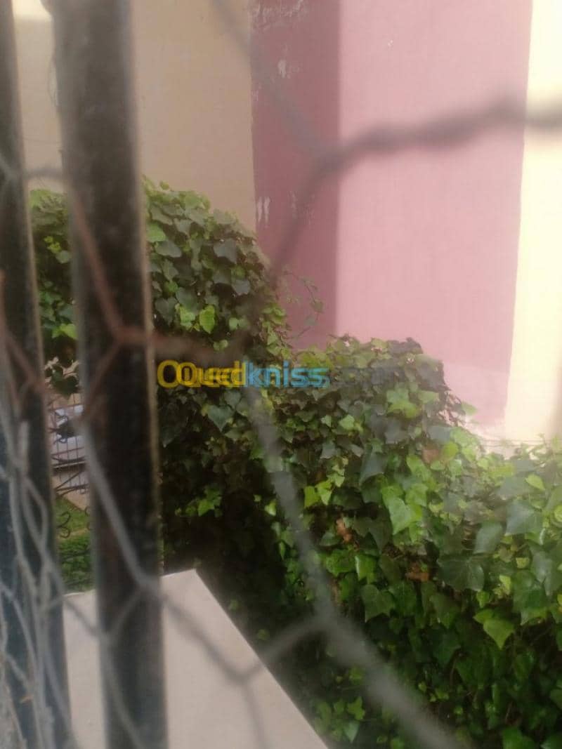 Vente Appartement F3 Skikda Skikda 21