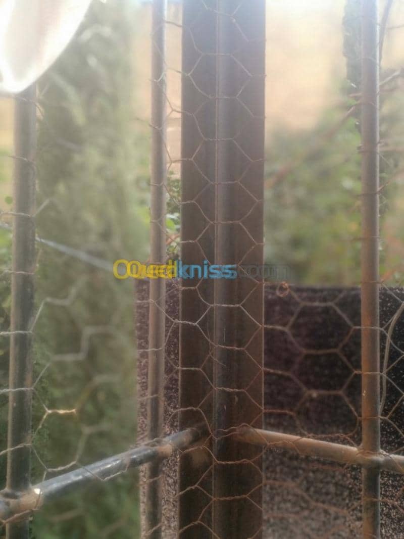 Vente Appartement F3 Skikda Skikda 23