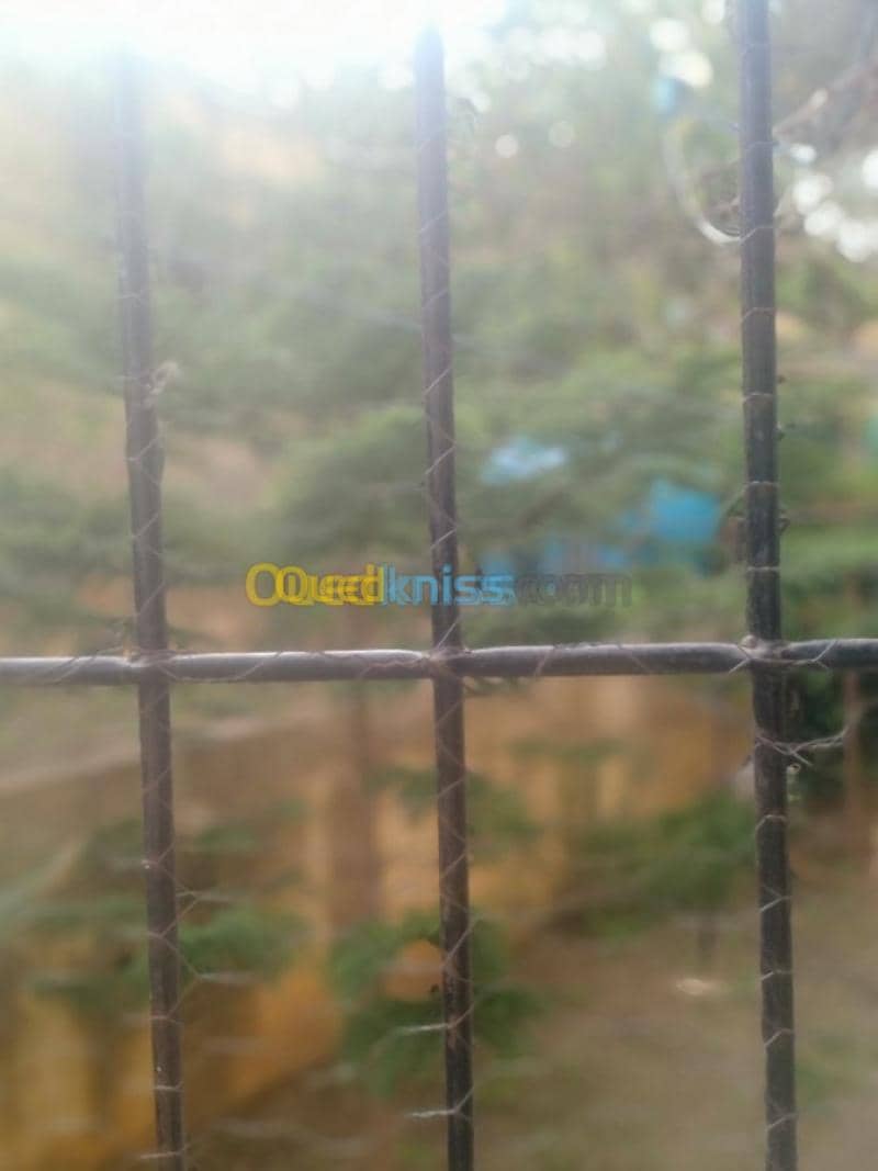 Vente Appartement F3 Skikda Skikda 29