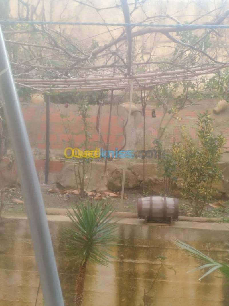 Vente Appartement F3 Skikda Skikda 31
