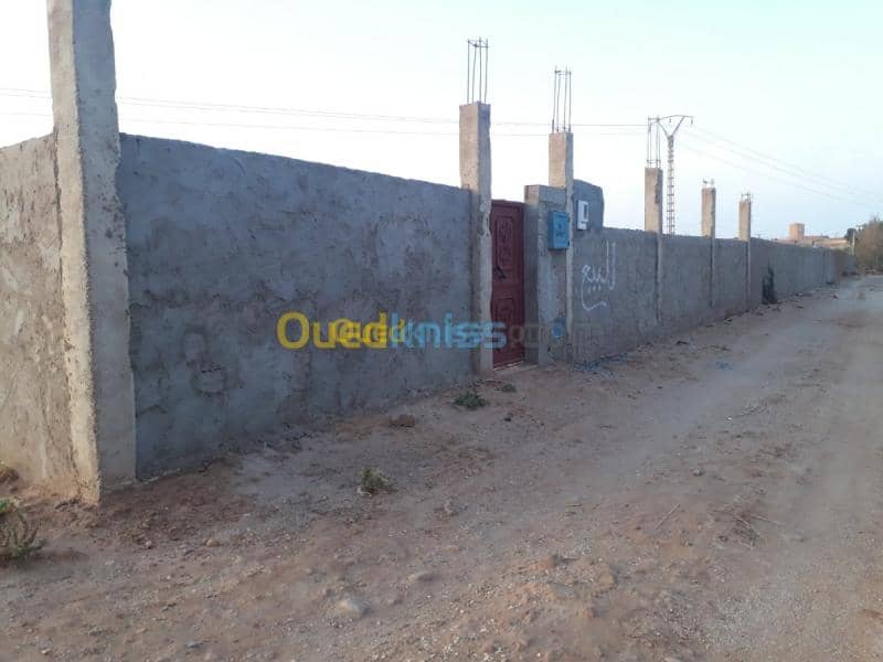 Vente Terrain Agricole Laghouat Sidi makhlouf 8
