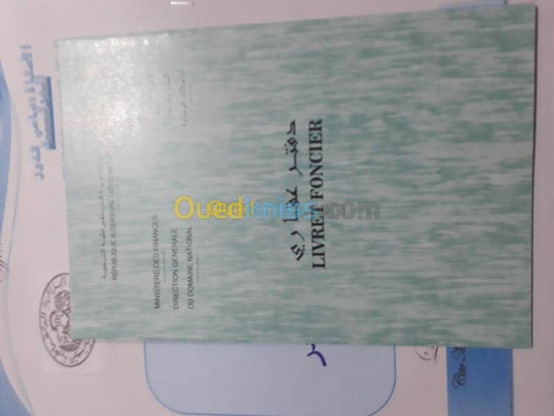 Vente Terrain Agricole Laghouat Sidi makhlouf