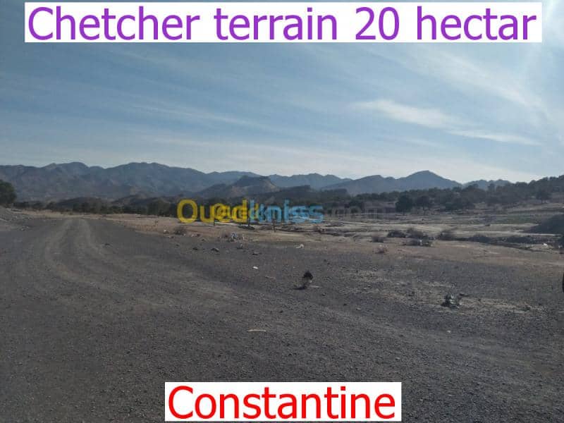 Cherche achat Terrain Constantine Constantine