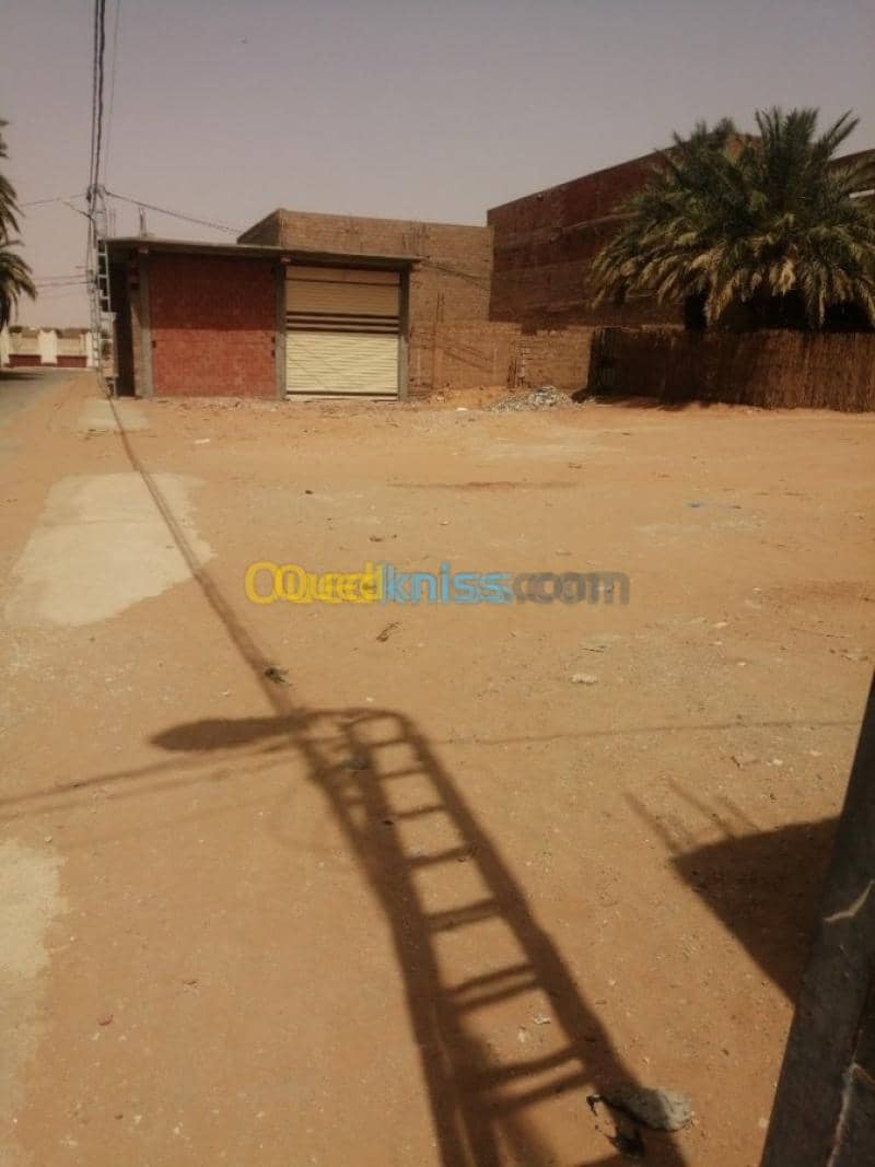 Location Hangar Adrar Timimoun 2