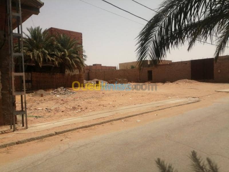 Location Hangar Adrar Timimoun 3