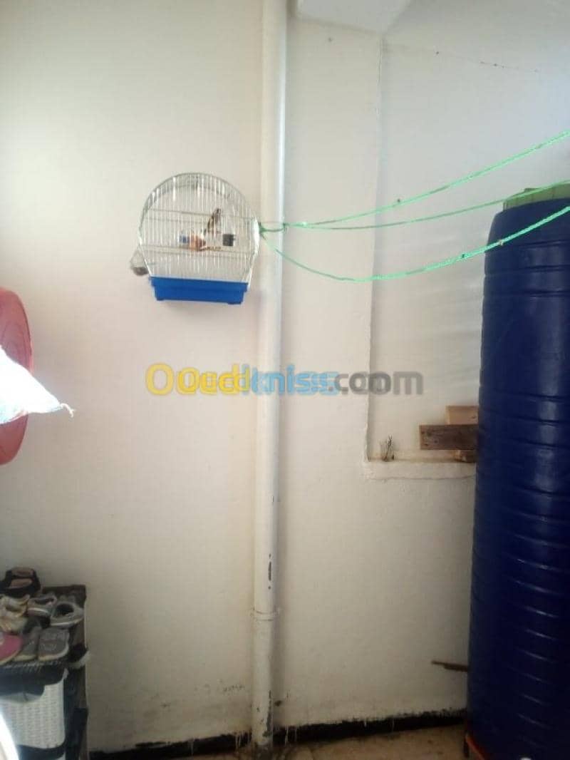Vente Appartement F3 Khenchela Khenchela 9