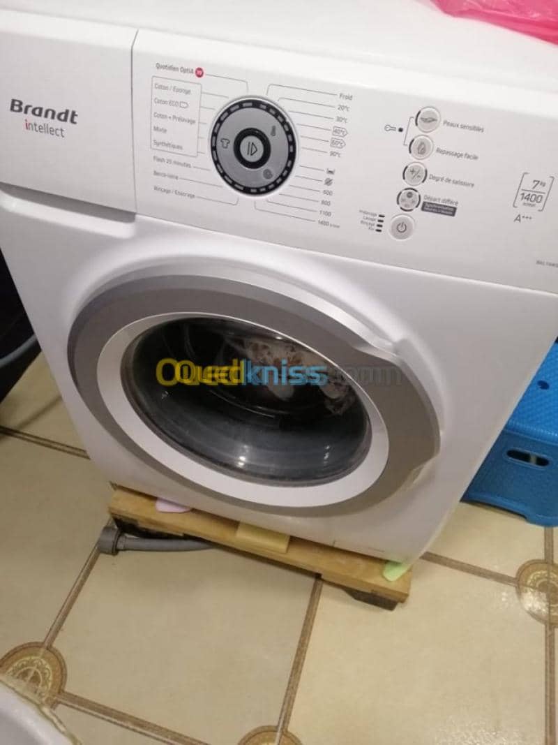 Location Appartement F3 Khenchela Cherchar 5