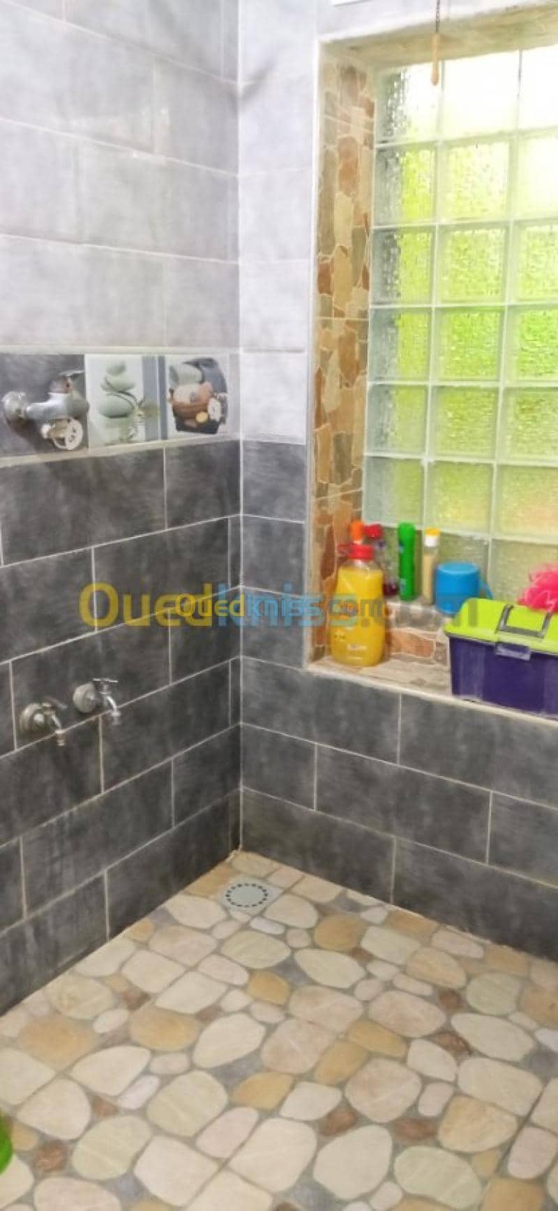 Vente Appartement F3 Oum el bouaghi Ain babouche 8