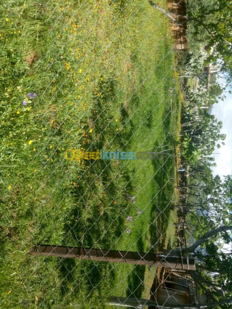 Vente Terrain Bouira Taghzout