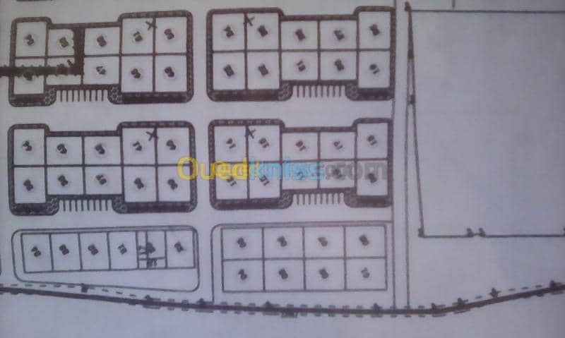 Vente Terrain Tamanrasset Tamanrasset