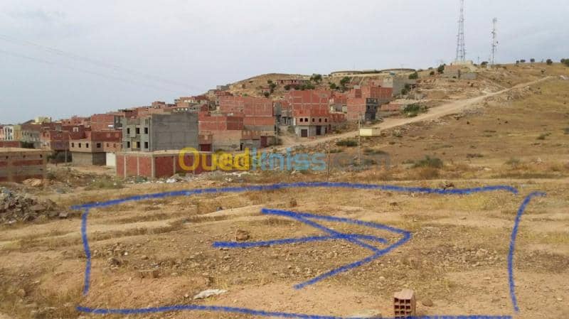 Echange Terrain Tlemcen Maghnia