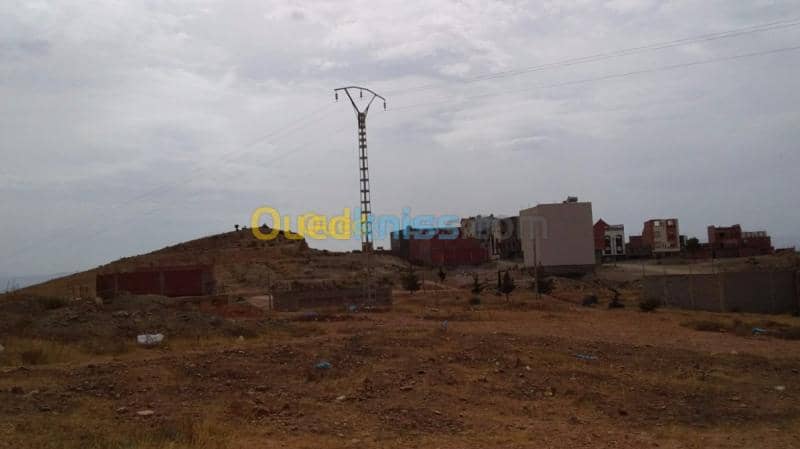 Echange Terrain Tlemcen Maghnia 2