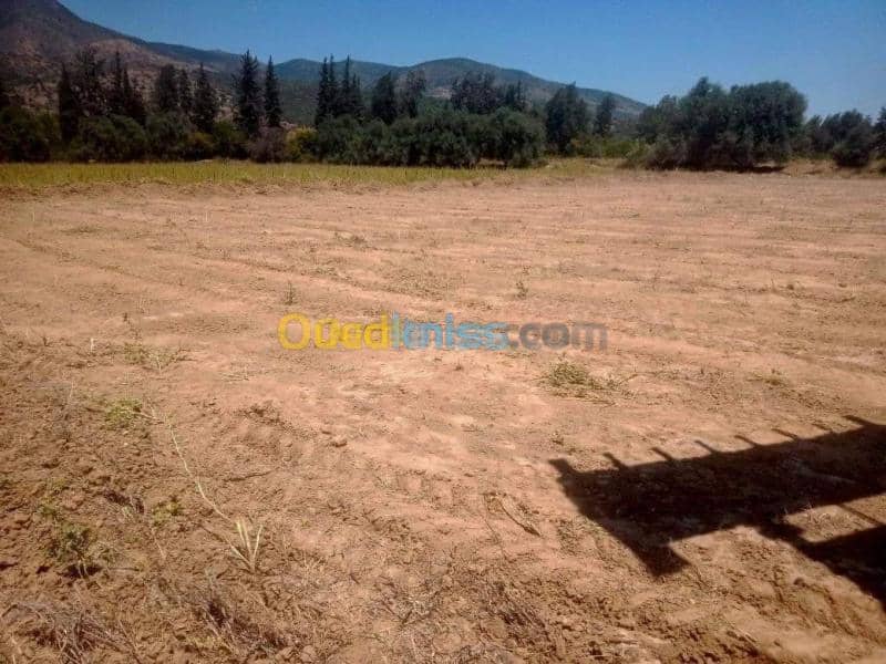Vente Terrain Bouira Lakhdaria 2