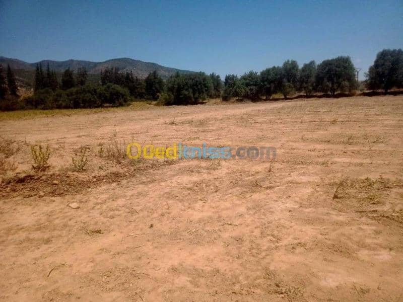 Vente Terrain Bouira Lakhdaria 4