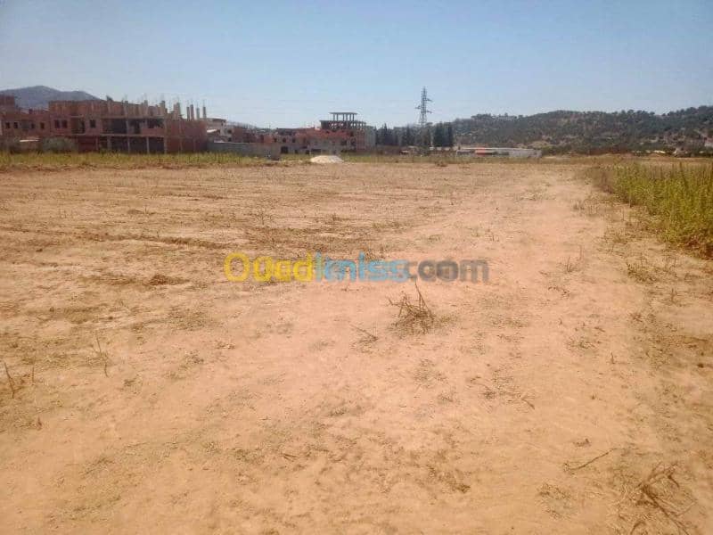 Vente Terrain Bouira Lakhdaria 5