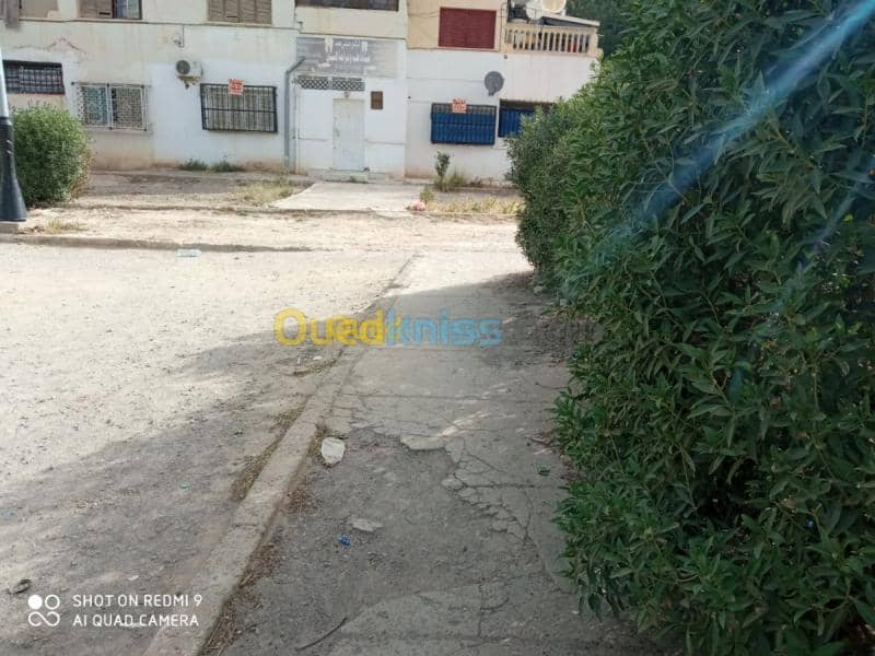Vente Appartement F5 Tébessa Morsott 11