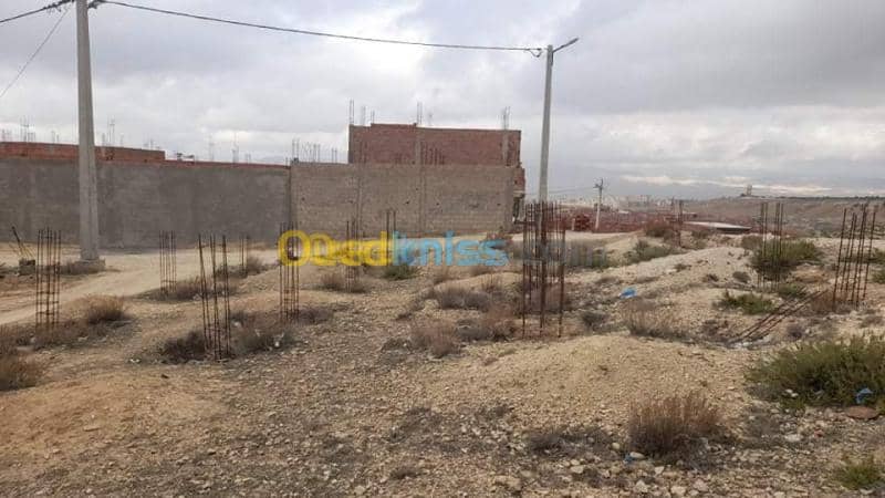 Vente Terrain Tebessa Tebessa