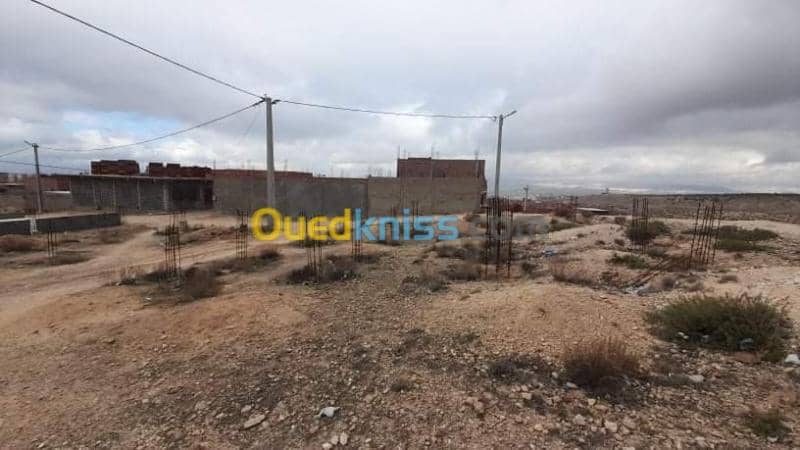 Vente Terrain Tebessa Tebessa 2