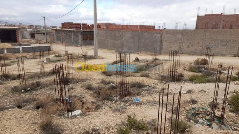 Vente Terrain Tebessa Tebessa 3