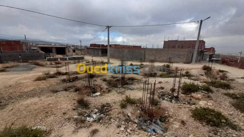 Vente Terrain Tebessa Tebessa 5