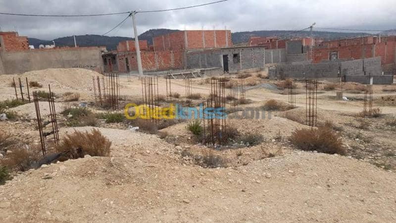 Vente Terrain Tebessa Tebessa 6