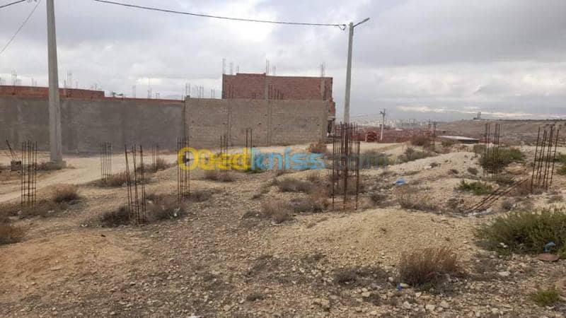 Vente Terrain Tebessa Tebessa 7