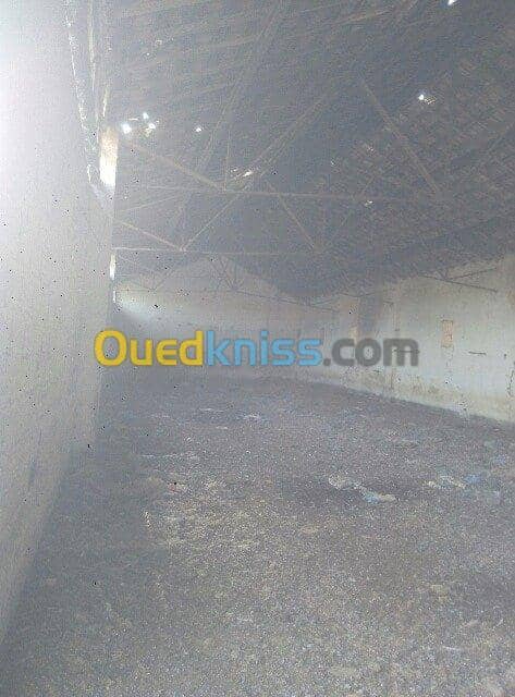 Vente Hangar Sidi bel abbes Sidi lahcene 5