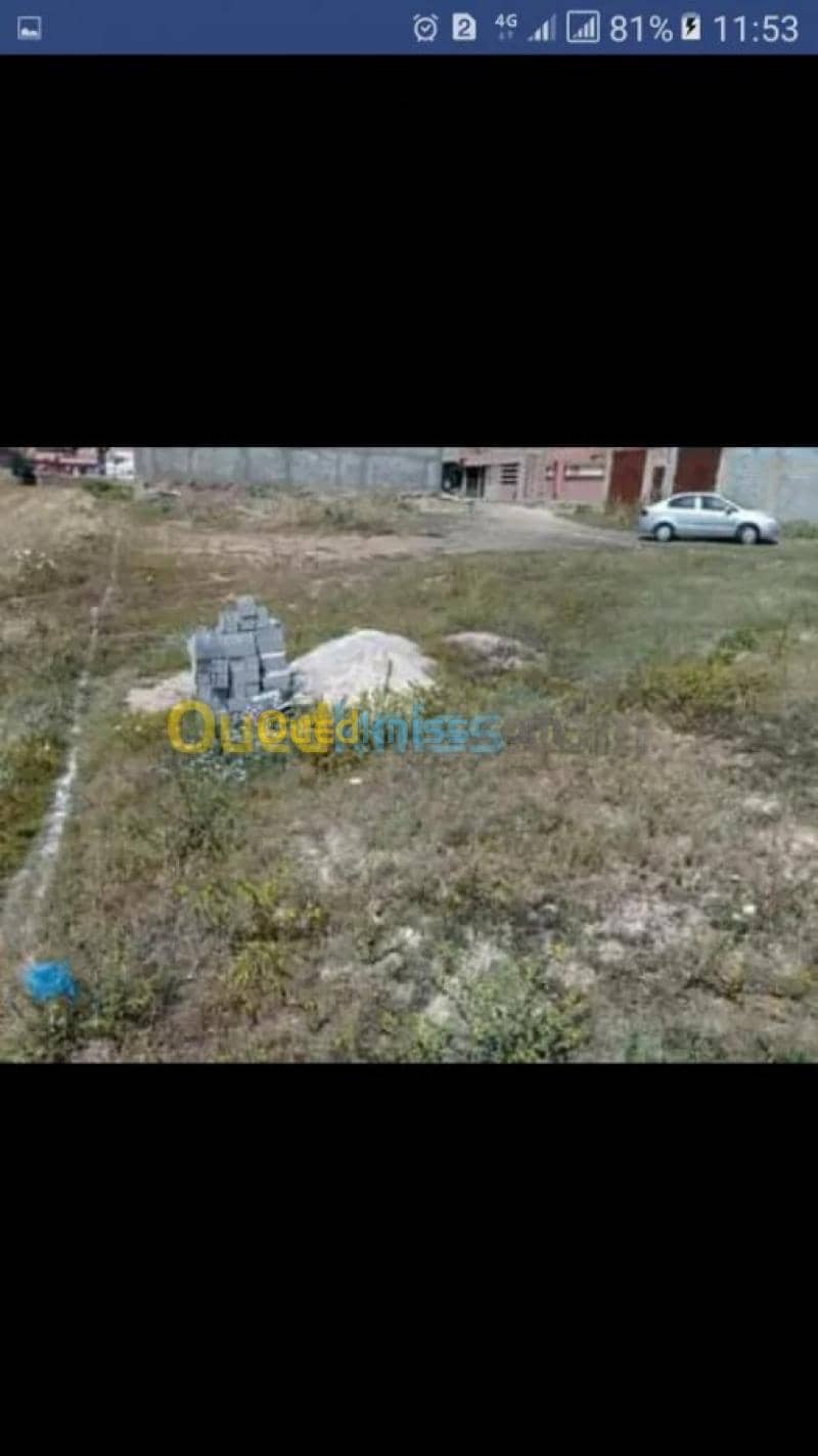 Vente Terrain Ain temouchent Oulhaca el gheraba 7
